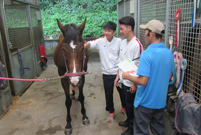 乗馬（授業）