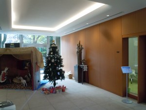 DSCN4205