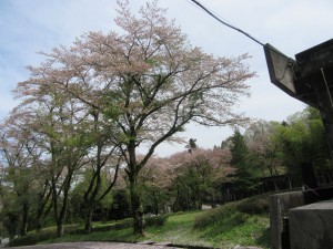 IMG_1951