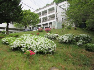 IMG_0012