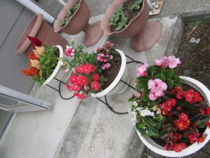 IMG_0819