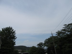 IMG_0820