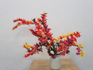 IMG_0831