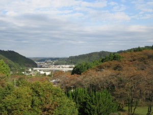 IMG_0040